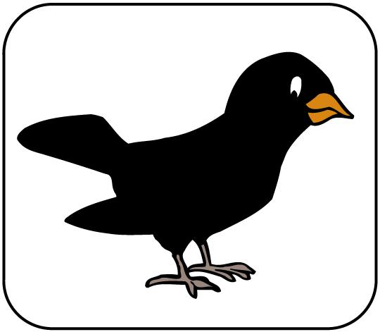 AMSEL DIE
